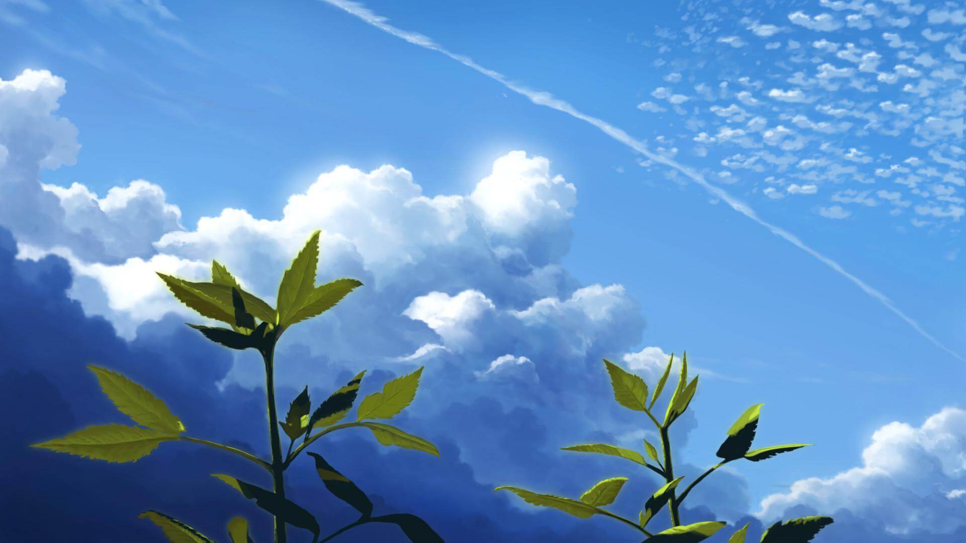夏天